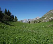 03A Malga Dagnola Alta